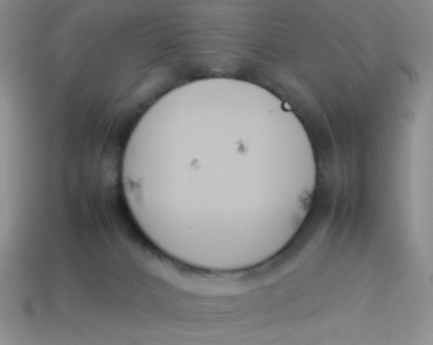 X0000113890032200910151344