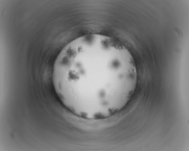 X0000113890034200910151344