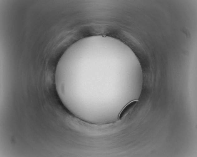 X0000113890035200910151344