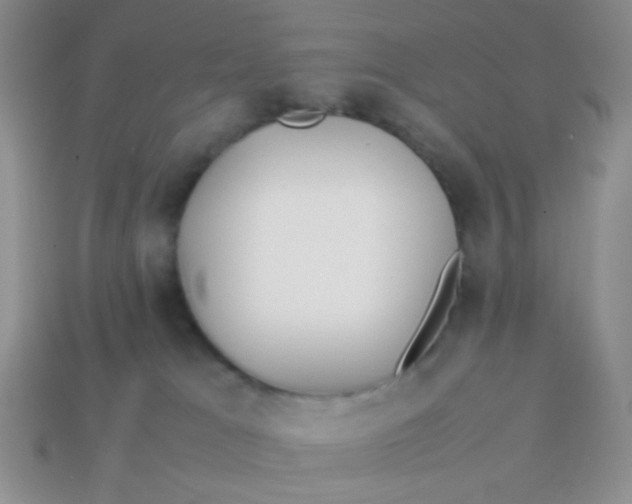 X0000113890037200910151343