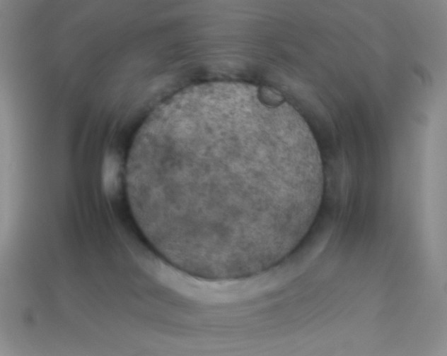 X0000113890038200910151343