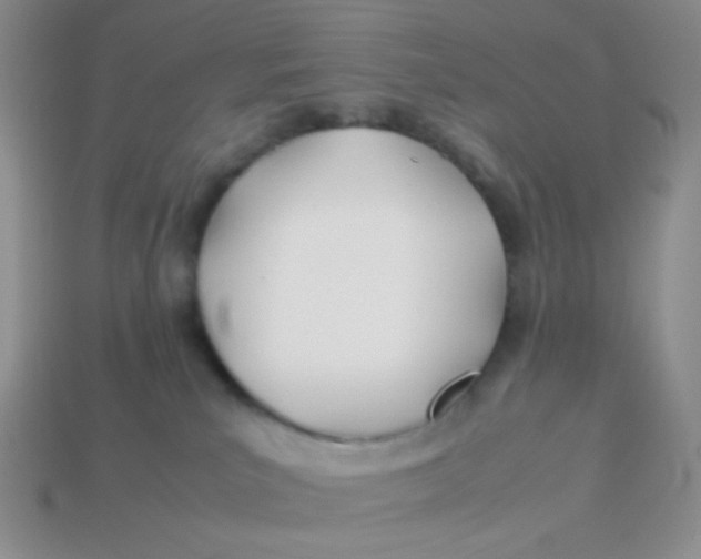 X0000113890039200910151343