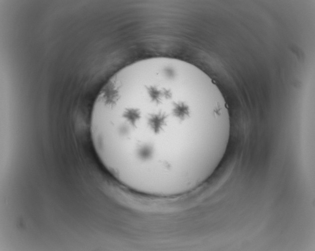 X0000113890040200910151343