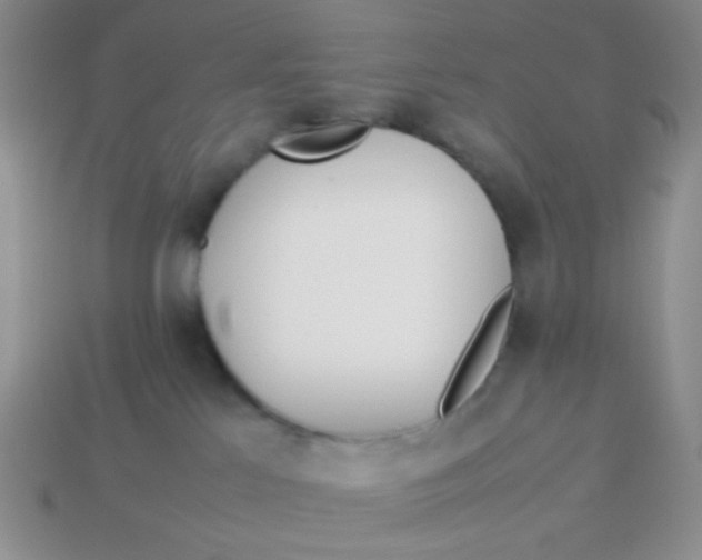 X0000113890041200910151343