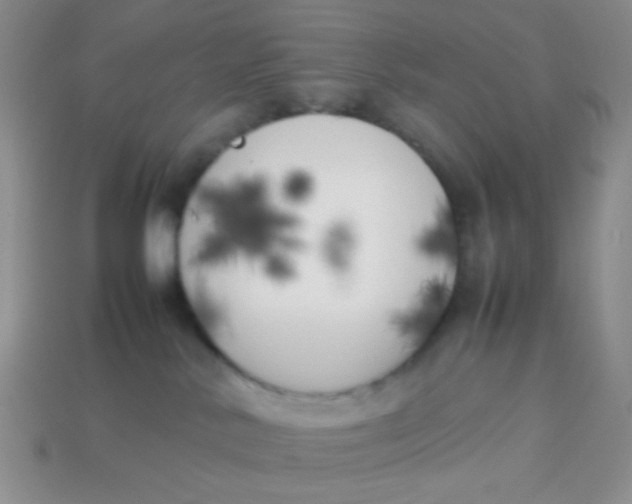 X0000113890042200910151343