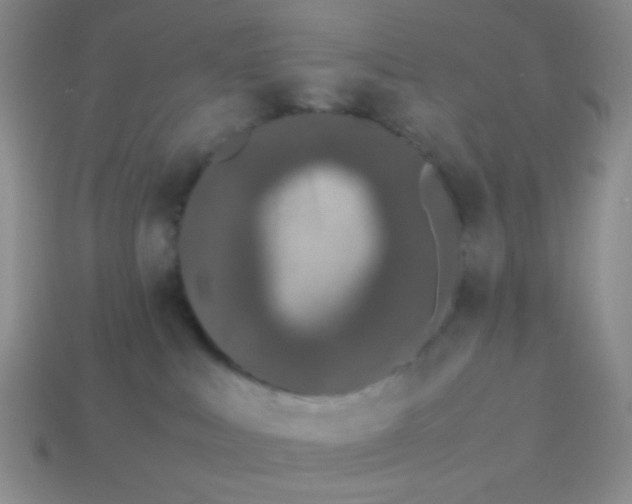 X0000113890043200910151343