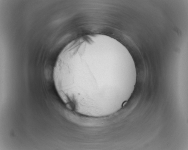 X0000113890044200910151343