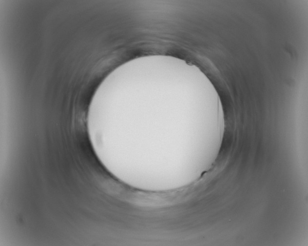 X0000113890045200910151343