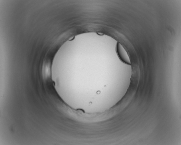 X0000113890046200910151343