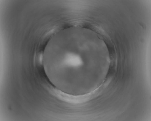 X0000113890047200910151343