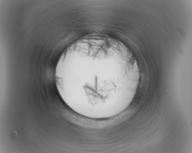 X0000113890048200910151343