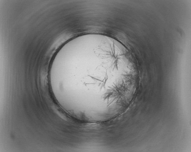 X0000113890050200910151343