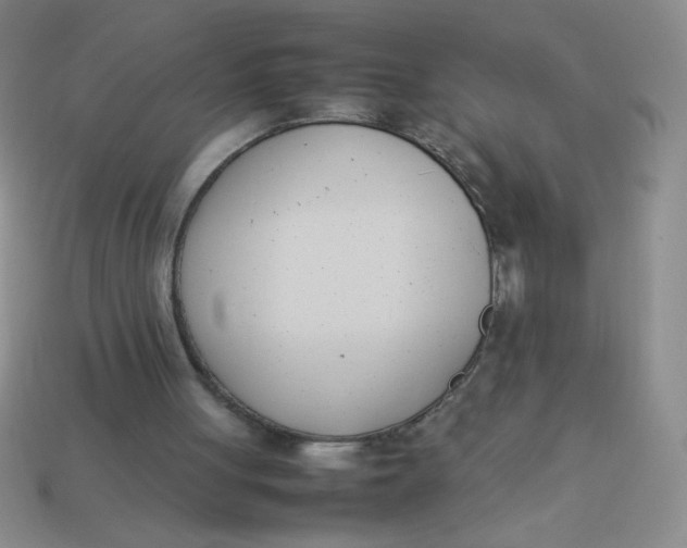 X0000113890051200910151343