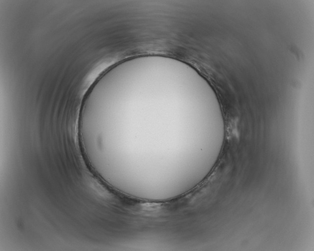 X0000113890052200910151343