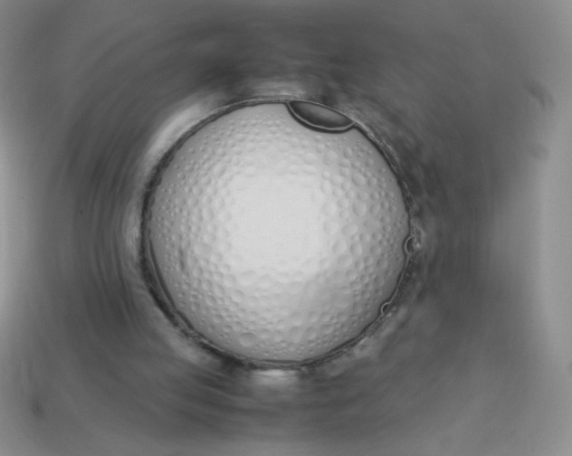 X0000113890053200910151343