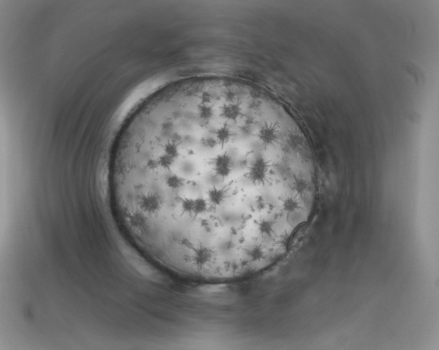 X0000113890054200910151343