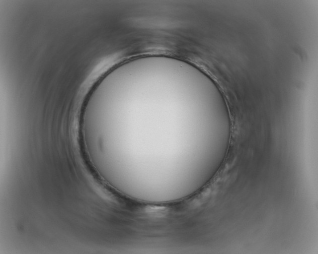 X0000113890055200910151343