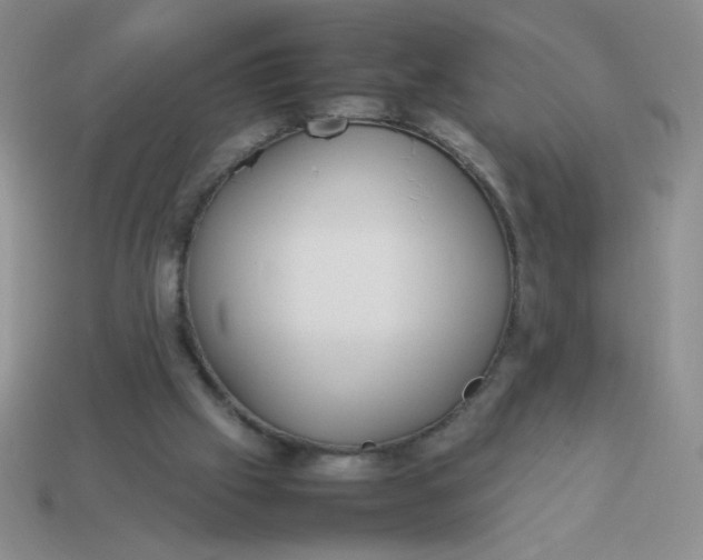 X0000113890057200910151343