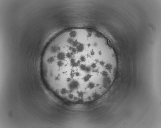 X0000113890058200910151343