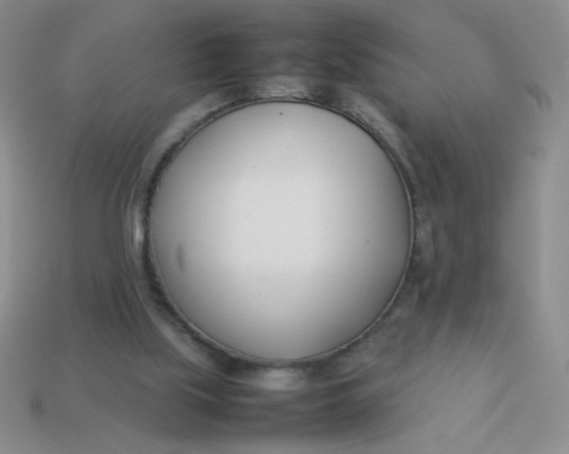 X0000113890059200910151343