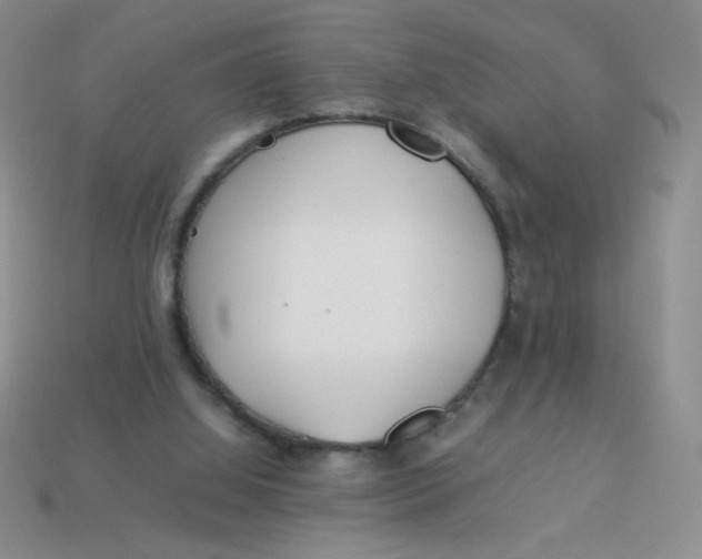 X0000113890060200910151343