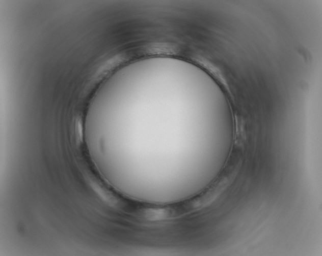 X0000113890061200910151343