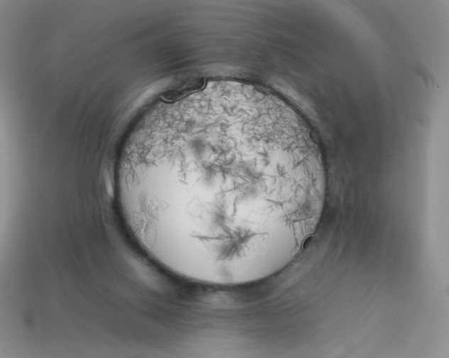 X0000113890062200910151343
