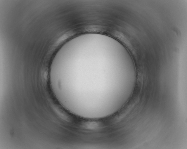 X0000113890063200910151343