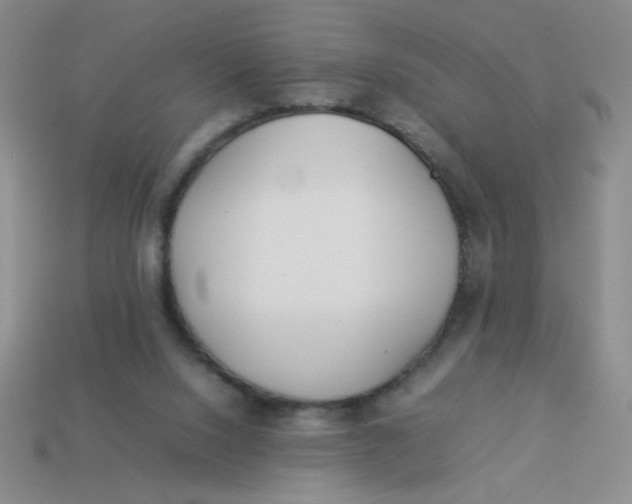 X0000113890064200910151343
