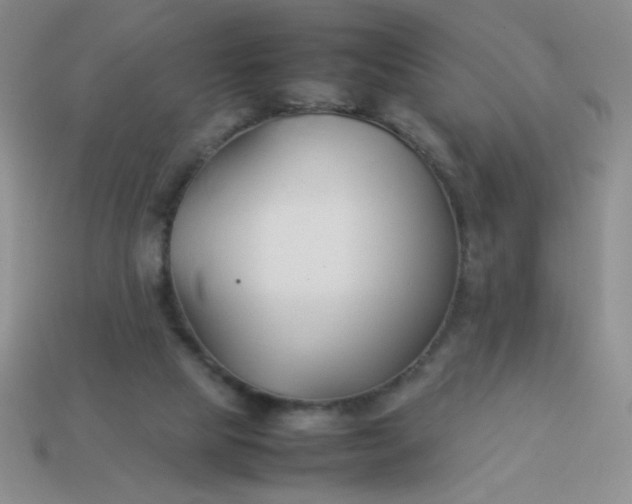 X0000113890065200910151343