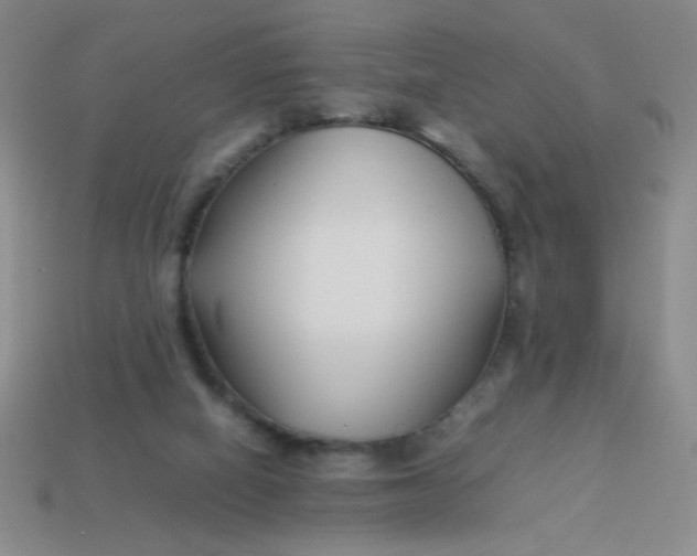 X0000113890066200910151343