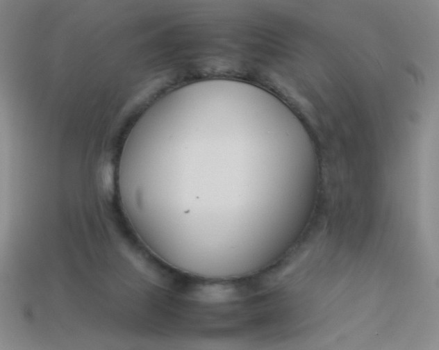 X0000113890067200910151343