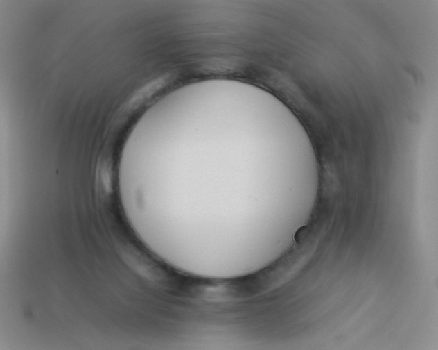 X0000113890068200910151343