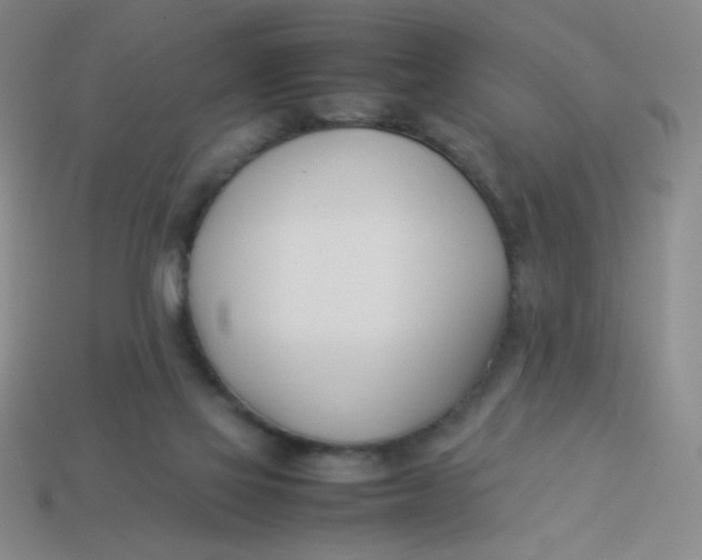 X0000113890069200910151343