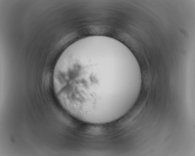 X0000113890071200910151343