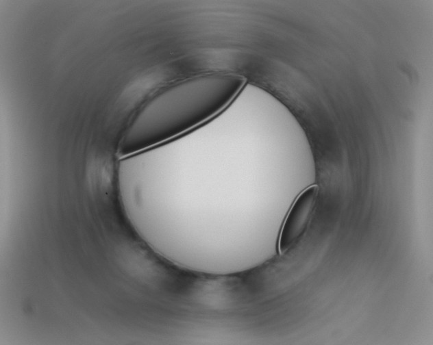 X0000113890072200910151343