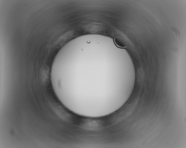 X0000113890073200910151343