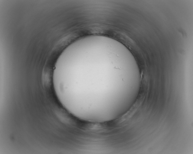 X0000113890074200910151343