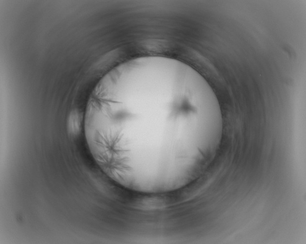 X0000113890075200910151343