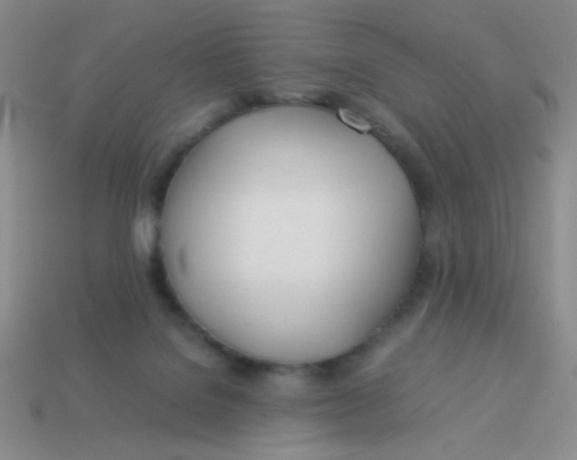 X0000113890076200910151343