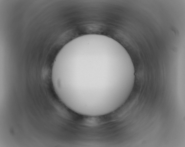 X0000113890079200910151343