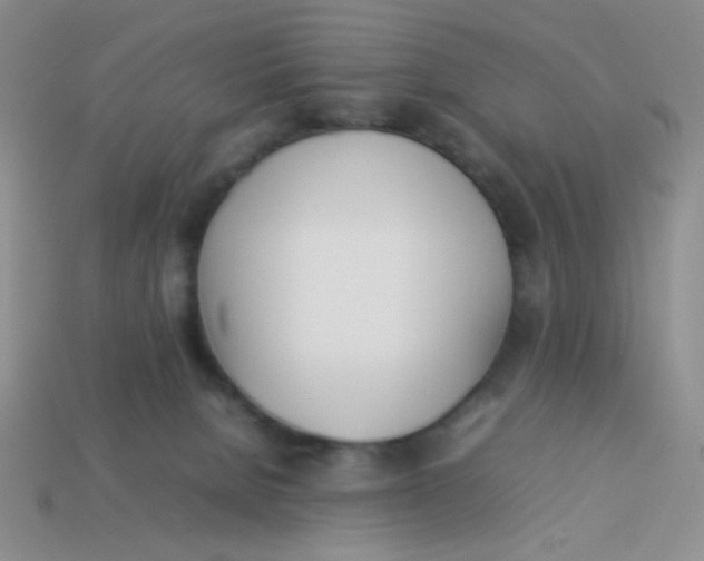 X0000113890080200910151343