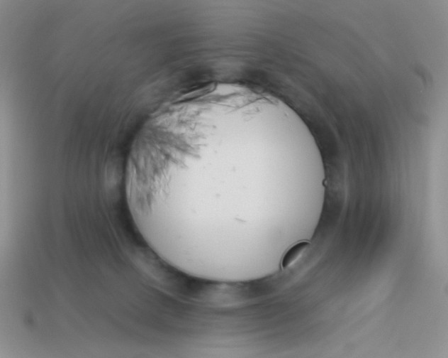 X0000113890082200910151343