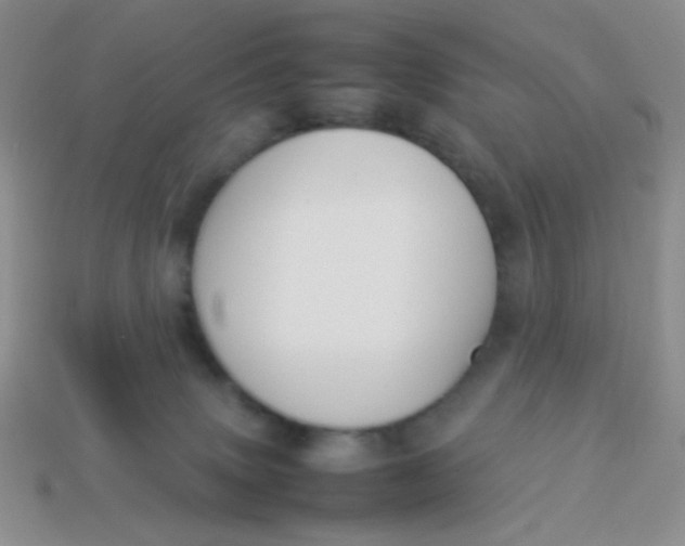 X0000113890083200910151343