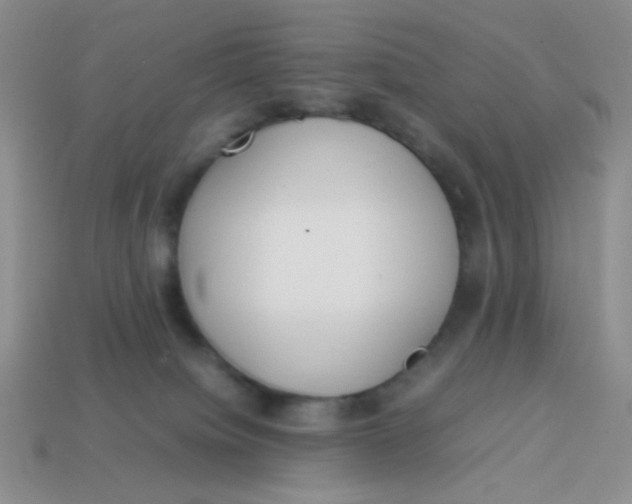 X0000113890084200910151343