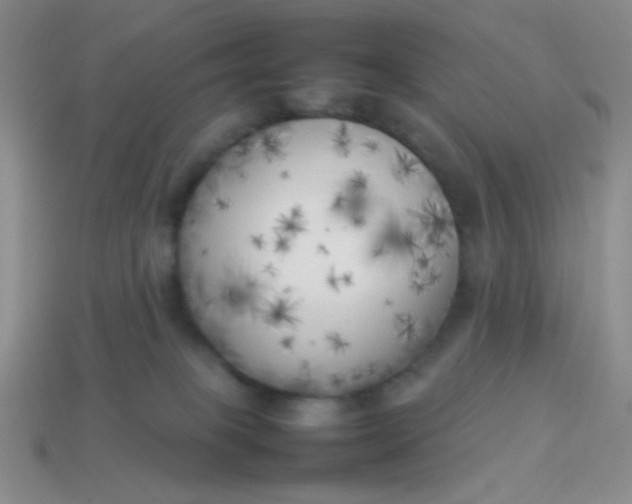 X0000113890085200910151343