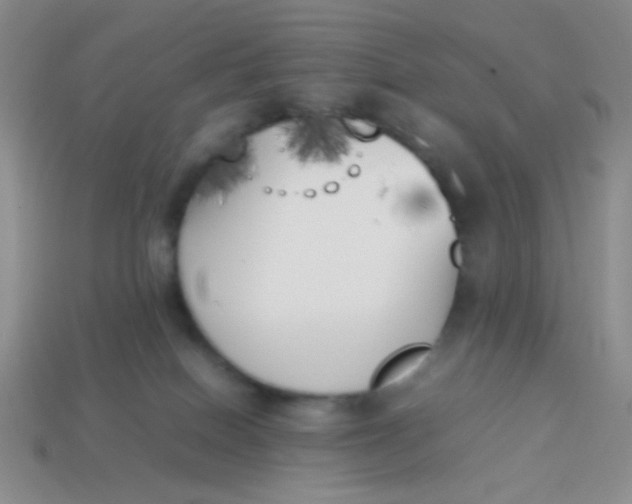 X0000113890086200910151343