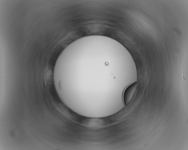 X0000113890087200910151343
