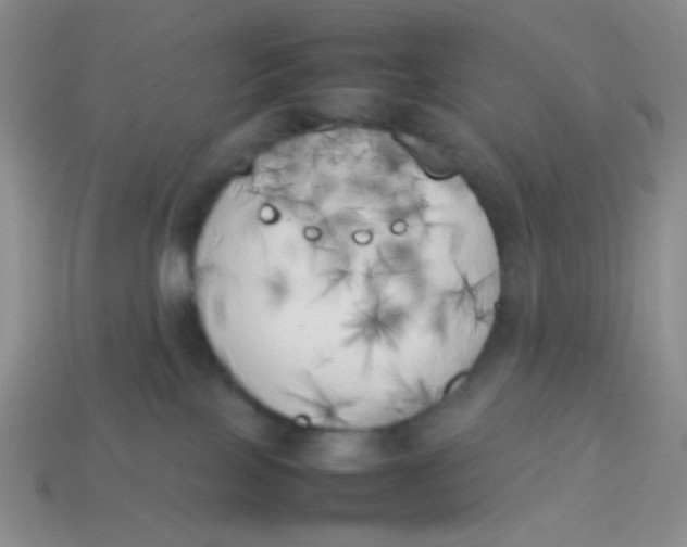 X0000113890089200910151343
