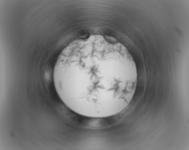 X0000113890090200910151343